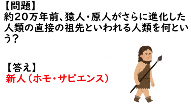 【問題】約 20 万年前、猿人・原人がさらに進化した人類の直接の祖先といわれる人類を何とい